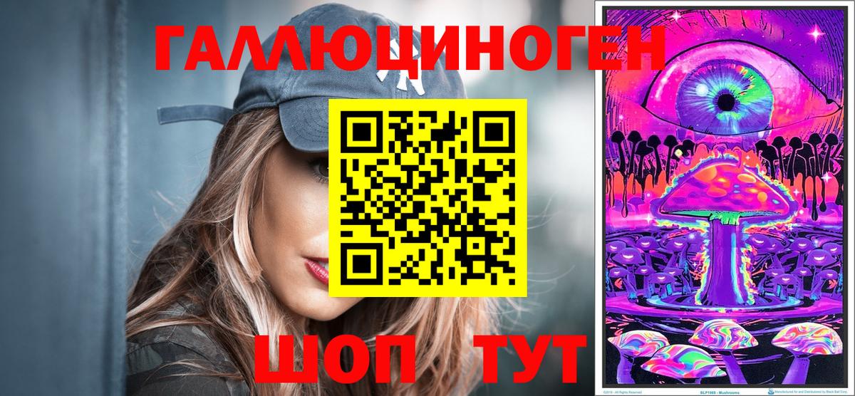 Махачкала  Псилоцибиновые грибы Psilocybe  Вход с VPN 