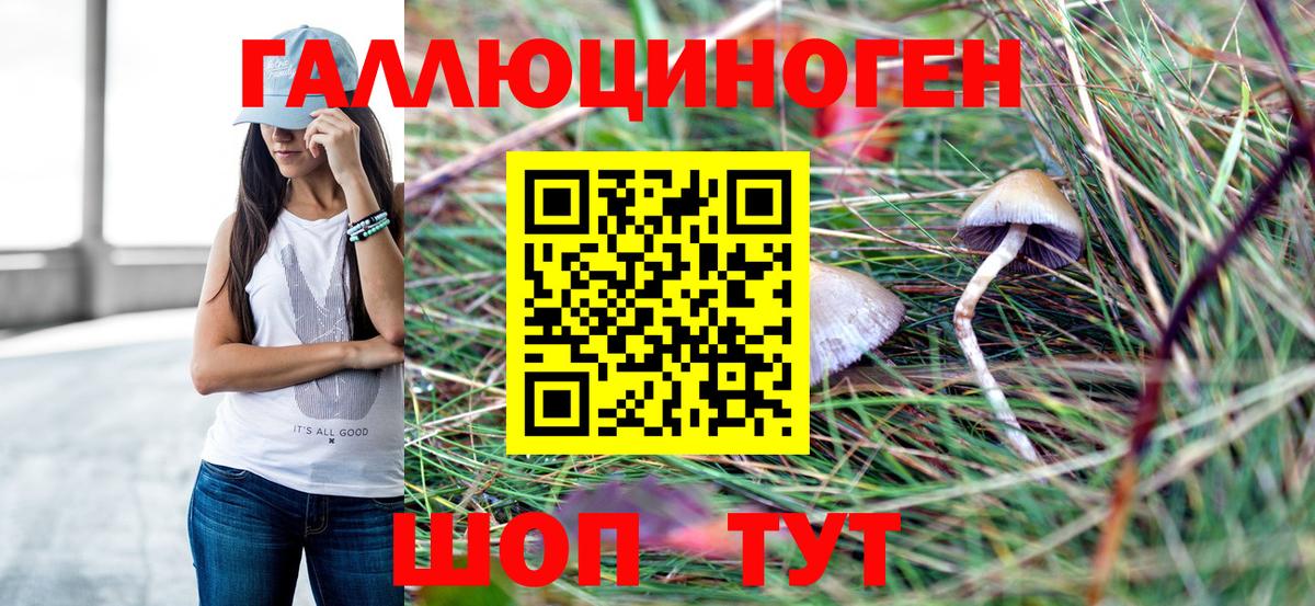 Псилоцибиновые грибы Cubensis Махачкала